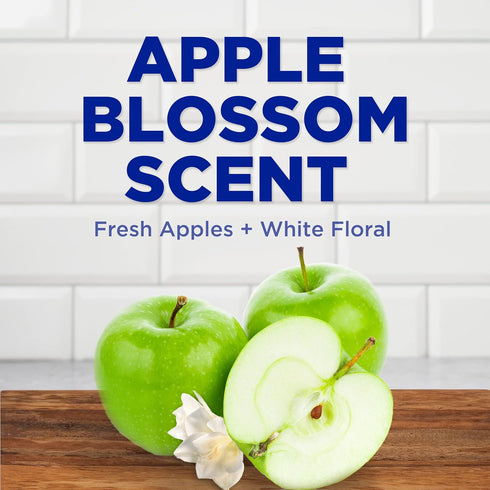 Scent,19.4 Oz, Pack 4 2 Dawn Dish Soap, Antibacterial Hand Soap, Dishwashing Liquid, Apple Blossom Of + Sponges