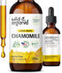 Organic Chamomile Flower Supplement - Vegan, Alcohol-Free Liquid Extract - 2 fl oz Drops