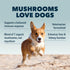 Immunity Organic Mushroom Complex for Dogs, 15 to 60 Day Supply, Vet Formulated, Rich in Beta Glucans