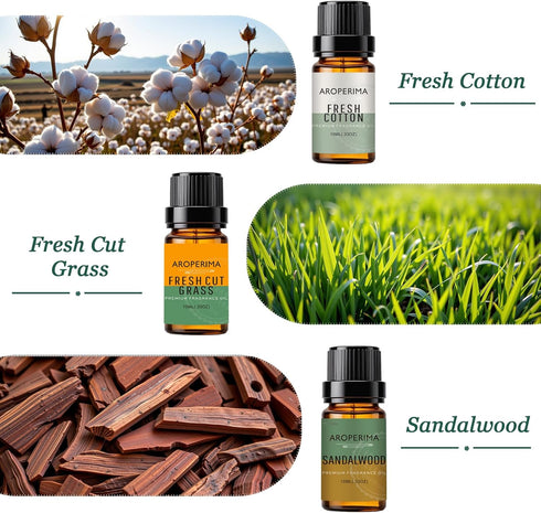 Set 6x10ML WOODSHOP Fragrance Essential Oil - French Vanilla, Amber, Forest Pine, Fresh Cotton, Fresh Cut Grass