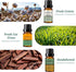 Set 6x10ML WOODSHOP Fragrance Essential Oil - French Vanilla, Amber, Forest Pine, Fresh Cotton, Fresh Cut Grass