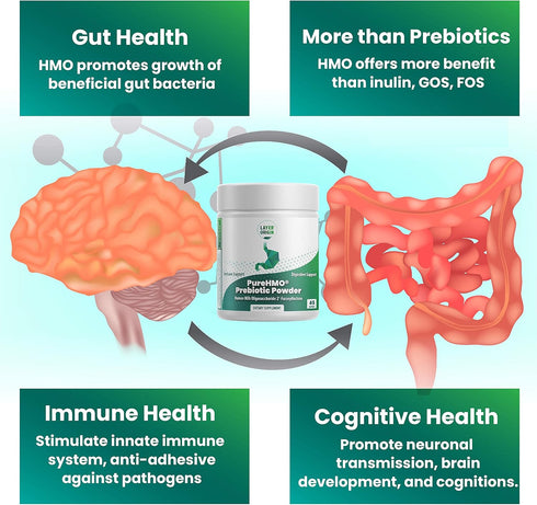 Layer Origin PureHMO Human Milk Oligosaccharide (HMO 2'-FL) Prebiotic Powder - 45 Servings, Feed 200 Billion