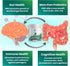Layer Origin PureHMO Human Milk Oligosaccharide (HMO 2'-FL) Prebiotic Powder - 45 Servings, Feed 200 Billion