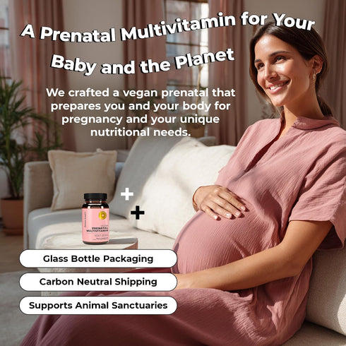 Omega-3 (60 Future Kind Prenatal Vitamin - Pregnancy, Lactation, and Wellness Support with DHA & L-Methylfolate