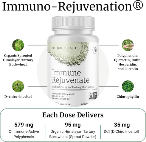 Immune Immune 60 BIG BOLD HEALTH HTB Rejuvenate - Himalayan Tartary Buckwheat - Polyphenols Supplement for Support