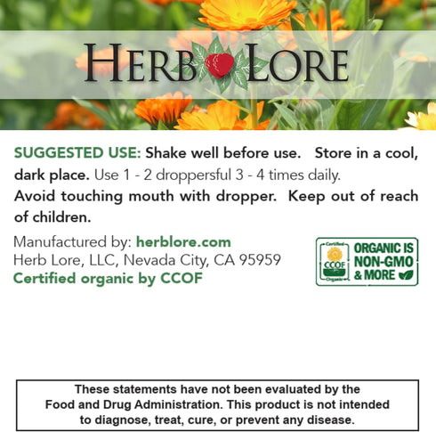 Herb Lore 2 oz Mullein Tincture - Organic Mullein Drops for Lungs - Alcohol Free - fl