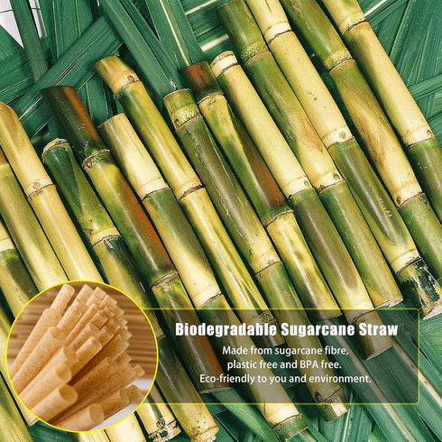 100pcs Sugarcane Straws, 8 Inch Sturdy Biodegradable Plastic Free Eco-Friendly Smoothie Drinking Straws for Home