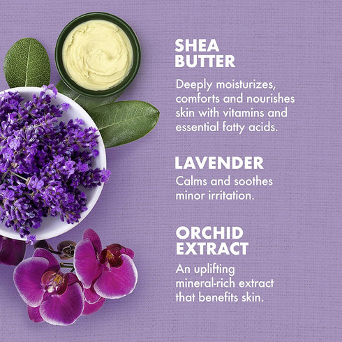 SheaMoisture Bath, Body and Massage Oil, Lavender Wild Orchid, 8 oz