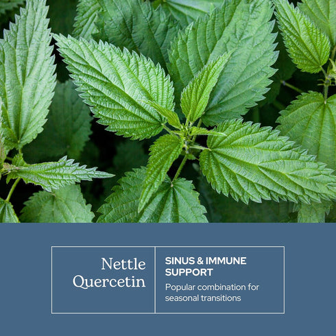 Eclectic Herb Nettle Quercetin Capsules, Non-GMO, Vegan, 90 CT