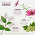 Immune Immune, 4oz WishGarden Herbs Kick-Ass Biotic Hero - Plant-Based Herbal Biotic Formula with Usnea Lichen, Hops