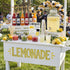 Jingmore 43 2026 2026 Pcs Graduation Freshly Lemonade Stand Complete Accessories Kit Lemon Bar Sign Class of Jar Drink