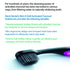 Xlent (8 Count) Activated Charcoal Bristle Toothbrush - Xtreme (Extreme) Soft, Ultrafine, Tapered bristles, Compact