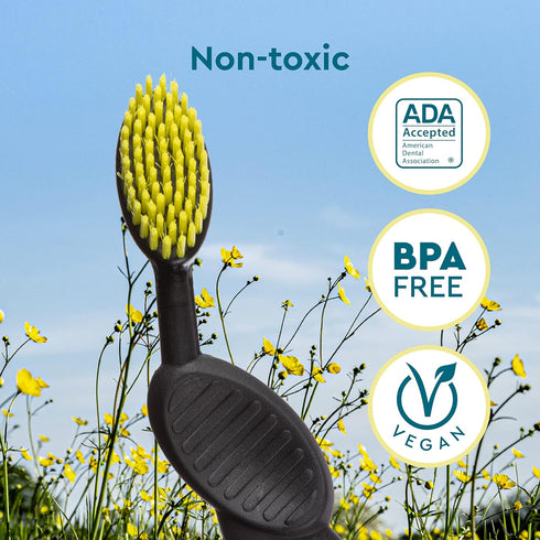 RADIUS Toothbrush, Flex Brush, Soft Bristles, Right Handed, Watermelon, BPA Free & ADA Accepted, Pack of 1