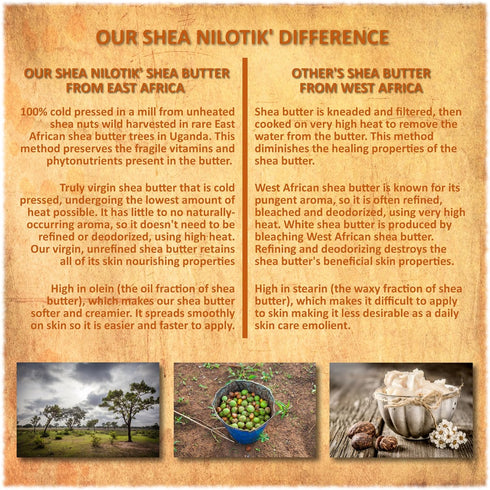Shea Terra Organics Ultra-Rich Nilotik’ Shea Butter Lotion – Dakara Frankincense, 16 oz Natural Moisturizer