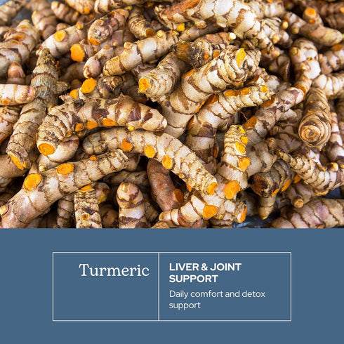 ECLECTIC INSTITUTE Raw Freeze-Dried Turmeric, 90 CT (395 mg), US Grown, Vegetarian, Non-GMO