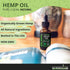 GreenIVe Hemp Drops 28,000mg - Organically Grown Pure Hemp Oil Drops, Vegan Omegas, Natural Potent Results (2 Pack)