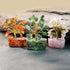 Set 12 Sets Crystal Tree of Unique Birthday Gifts for Women, Sister, Mom & Dad, Home Office Decor for Positive Energy