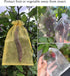 50pcs Large Organza Bags, 8X12 Inch Gold Sheer Mesh Drawstring Gift Pouches for Christmas Wedding Party Favors