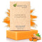 Turmeric Soap Bar for Body & Face - Gentle Soap Made with Natural and Organic Ingredients - 4.5 oz (Pack of 1)
