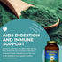 HEALTHFORCE SUPERFOODS Vitamineral Green, 150 Grams, Mineral Supplement for Immune & Thyroid Support, Gluten-Free &