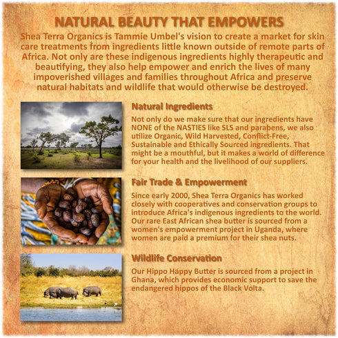 Shea Terra Rose Hips and Carrot Perfecting Serum, 2 oz, All Natural & Organic Oil