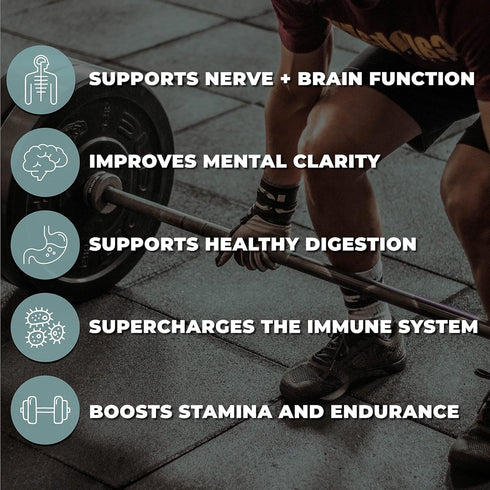 Liquid Chelated Minerals - 72+ Organic Major & Trace Minerals, 20 Essential Amino Acids, Humic Fulvic Blend - Fast