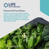 Life Extension Vegan Vitamin D3 - Joint/Bone Health & Immune Support, 60 Count
