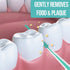Dental Picks Mint Brush Picks, 100Ct/Pack, 2 Packs (200Ct Total)
