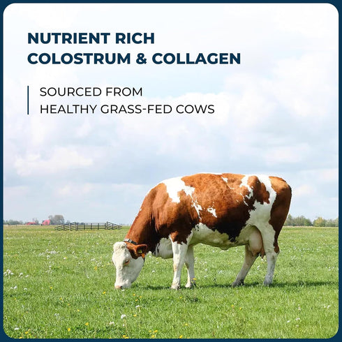 Sandhu's Bovine Colostrum and Collagen Powder - 45 Servings Supplement for Hair, Beauty, Skin & Nail Health
