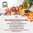 Barlean's Omega Pals Eye Health Liquid, Tangerine Flavored Omega 3 for Kids, 8 oz with 500 mg of EPA & DHA