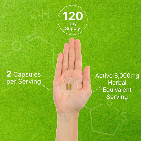 Organic Mushroom Supplement, 8,000mg Per Serving, 240 Capsules, 10 in 1 Defense Formula, Non-GMO