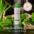 Green Tea + Mint Insect Repellent, DEET-Free with Picaridin, 12 Hour Protection, DEET Alternative