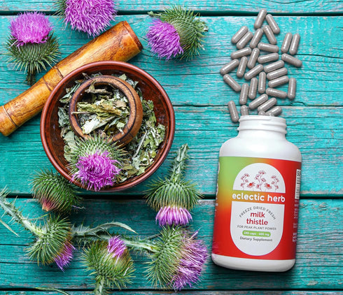 Raw Freeze-Dried Non-GMO Milk Thistle, Eclectic Institute, with Silymarin for Liver Support, 240 CT