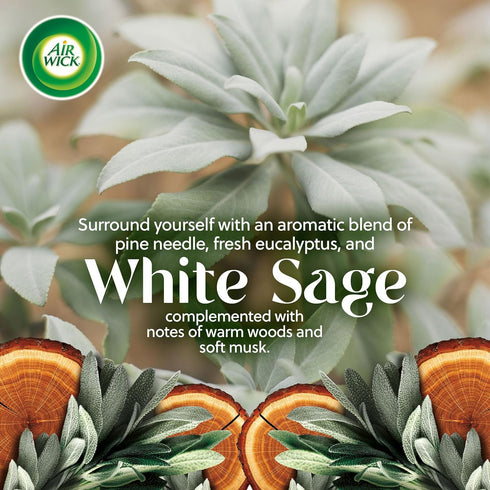 Air Wick Scented Oil Starter Kit, 1+3 Advanced, White Sage Mahogany