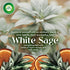 Air Wick Scented Oil Starter Kit, 1+3 Advanced, White Sage Mahogany