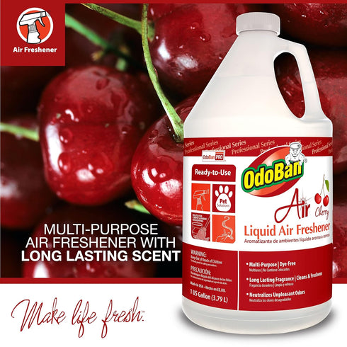 OdoBan Professional Series Ready-to-Use Air Cherry Liquid Air Freshener, 2-Pack, 1 Gallon Each, Cherry Scent
