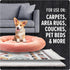 Dirt Devil 32 oz Pet Carpet Powder, Room Refresher, Pet Odor Eliminator, Tropical Wind Scent