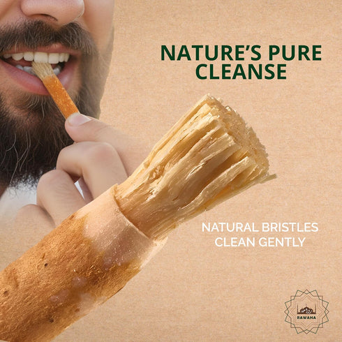 Rawaha 2 Pack 2 Pcs Miswak Sticks - Vacuum Sealed Natural Chewing Miswak Sticks for Teeth - Natural Flavored Toothbrush