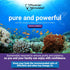 Fish Oil Omega 3 3000mg per Serving - 915mg EPA, 630mg DHA, 2000mg Total Omega 3, 180 Capsules
