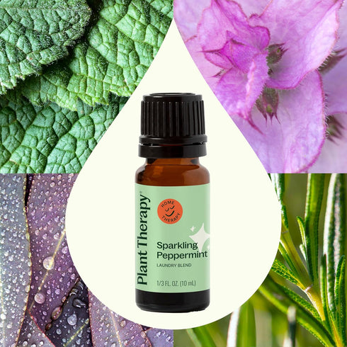 Plant Therapy Sparkling Peppermint Laundry Essential Oil Blend, 10 mL (1/3 oz) Pure, Undiluted Wash Fragrance and Scent