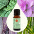 Plant Therapy Sparkling Peppermint Laundry Essential Oil Blend, 10 mL (1/3 oz) Pure, Undiluted Wash Fragrance and Scent