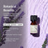 AROMAFUME Lavender Essential Oil - 100% Natural, Therapeutic Grade Essential Oil - Pure, Calming Aromatherapy Oil for Diffusers, and to Aid Sleep - Gifts for Her - 10ml