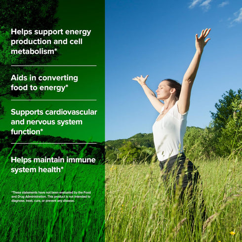 ORZAX Vitamin B Complex Supplement for Women & Men with Choline, Inositol - Balanced Energy Metabolism, Immune & Nerve