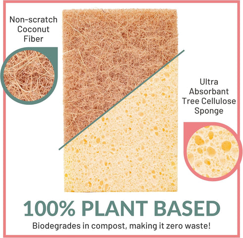 bioGo 24 Pack Biodegradable Kitchen Sponges - Eco-Friendly, Compostable, Natural Cellulose Dish Sponges - Compostable Sponges - Biodegradable Sponges - Cellulose Sponge by bioGo