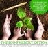 Lingito 6-Pack Natural Charcoal Bamboo Toothbrushes, BPA Free Soft Bristles, Eco Friendly & Vegan