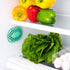 Refrigerator Deodorizer Eliminator, Nontoxic Coconut, Activated Charcoal, Natural Air Fresheners, Moisture & Odor
