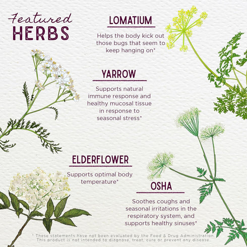 WishGarden Herbs Serious V-Fighter - Plant-Based Herbal Immune Support & Respiratory Health, 4oz with OSHA & Goldenseal