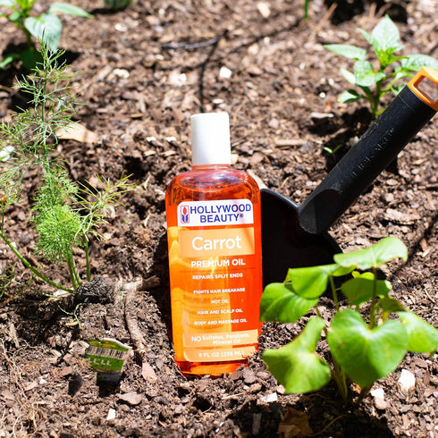 Hollywood Beauty Carrot Hair Oil, 8oz Bottle for Hair, Scalp, Skin, Nail