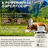 SXNWSN Immunity 3000mg 90ct Grass Fed Beef Liver Capsules - Supports Energy Production, Detoxification, Digestion