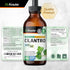 Organic Cilantro Supplement, 4 Fl.Oz., Natural Body Cleansing & Detox Liquid, Vegan, Alcohol-Free Drops